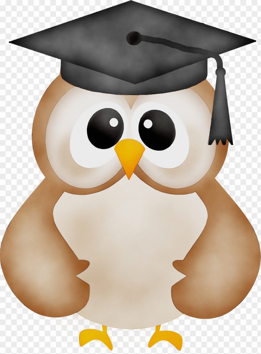Graduation Beak Watercolor Background PNG