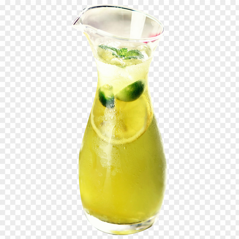 In Kind,Kumquat Lemon Juice,Single Page Harvey Wallbanger Spritzer Cocktail Garnish Juice PNG