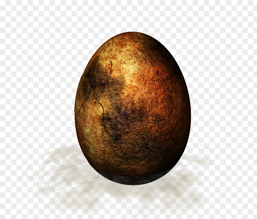 Juniperus Sphere Egg PNG