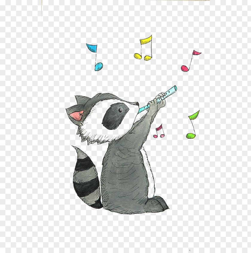Raccoon Drawing Cuteness Illustration PNG