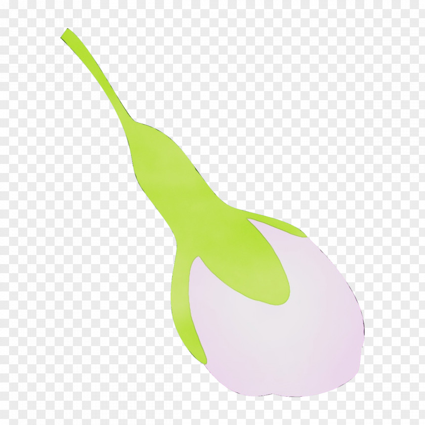 Tableware Logo Plant Radish Pear Vegetable PNG