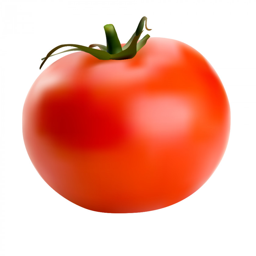 Tomato Roma Cherry Vegetable Heirloom Bell Pepper PNG