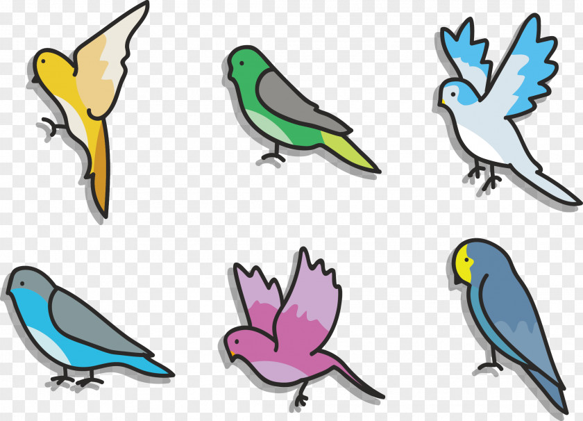 Vector Birds Budgerigar Lovebird Clip Art PNG