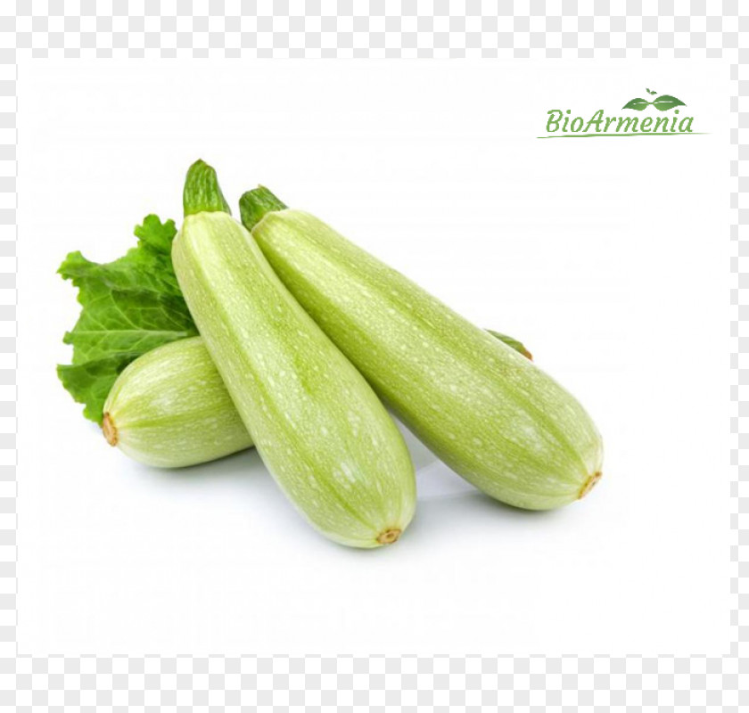 Vegetable Cucurbita Pepo Summer Squash Zucchini PNG