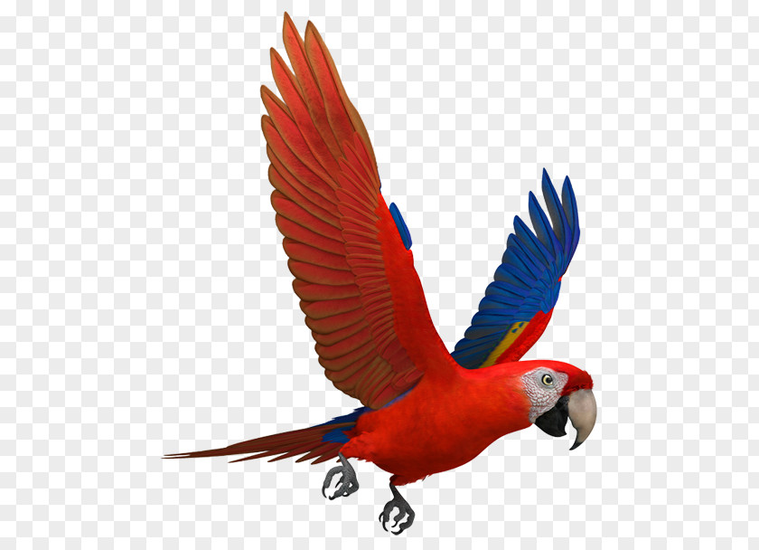 Ara Macao Scarlet Macaw Parrots Blue-and-yellow PNG