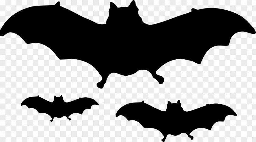 Bat Halloween PNG