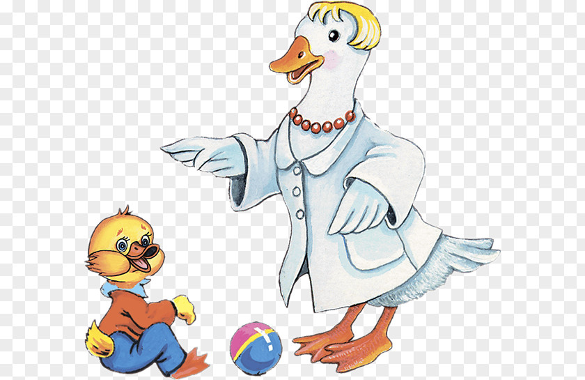 Duck Kindergarten Goose Educator Bird PNG