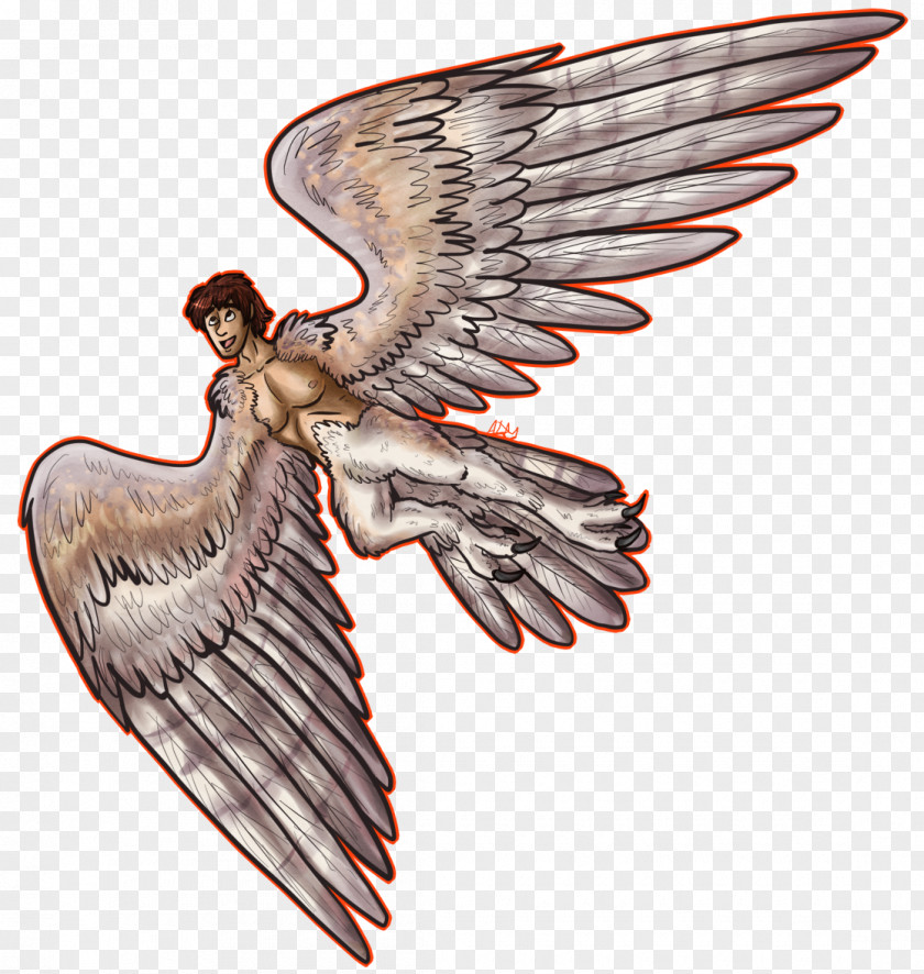 Eagle Hawk Neck Beak Angel M PNG