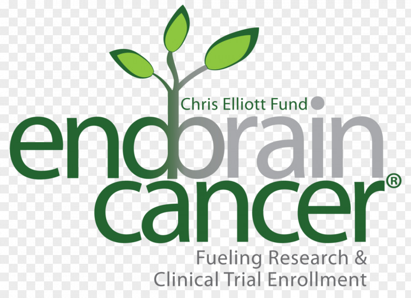 End Of All Hope Brain Cancer Initative (Chris Elliott Fund) Tumor Survivor Lung PNG