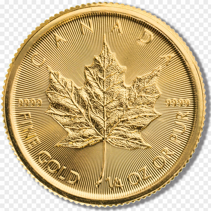Gold Coins Coin Money Metal Currency PNG
