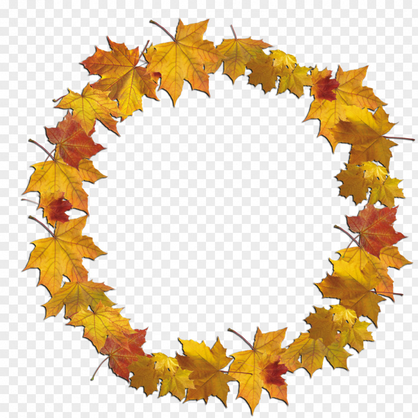 Leaf Frame PNG