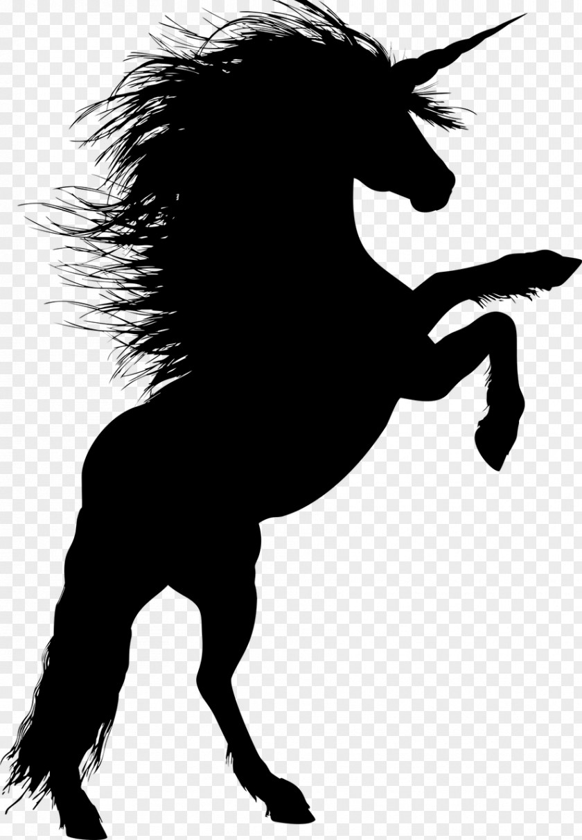 Horse Riding Stallion Rearing Silhouette Unicorn PNG