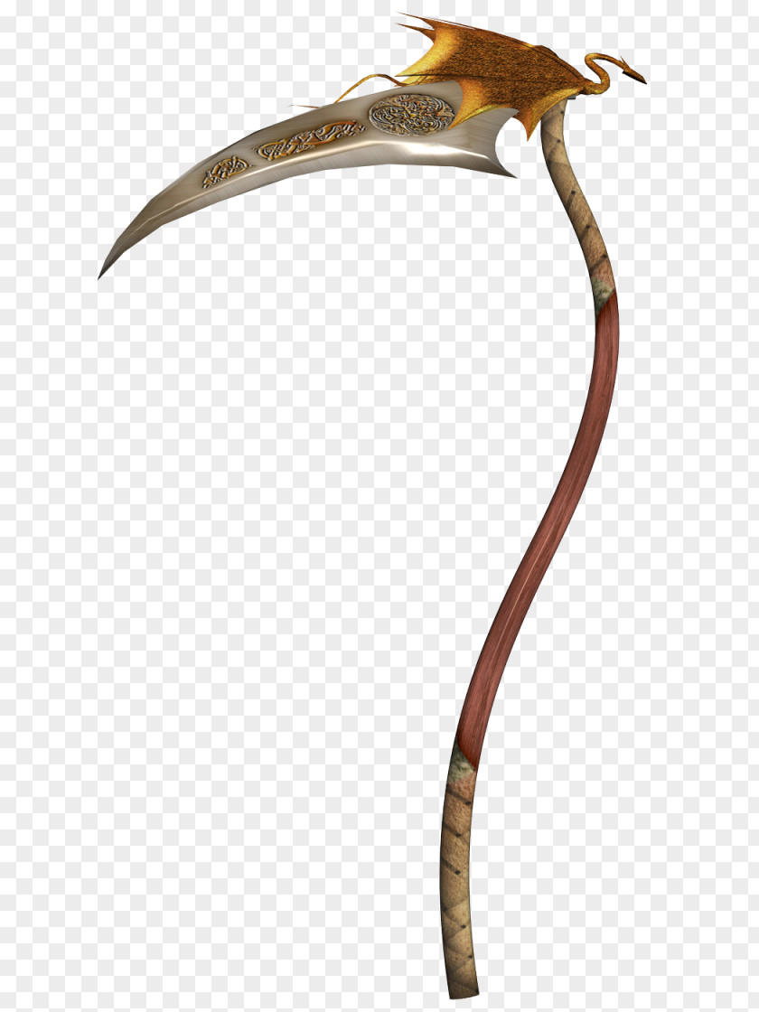 Saw Custom Graphics Beak PNG