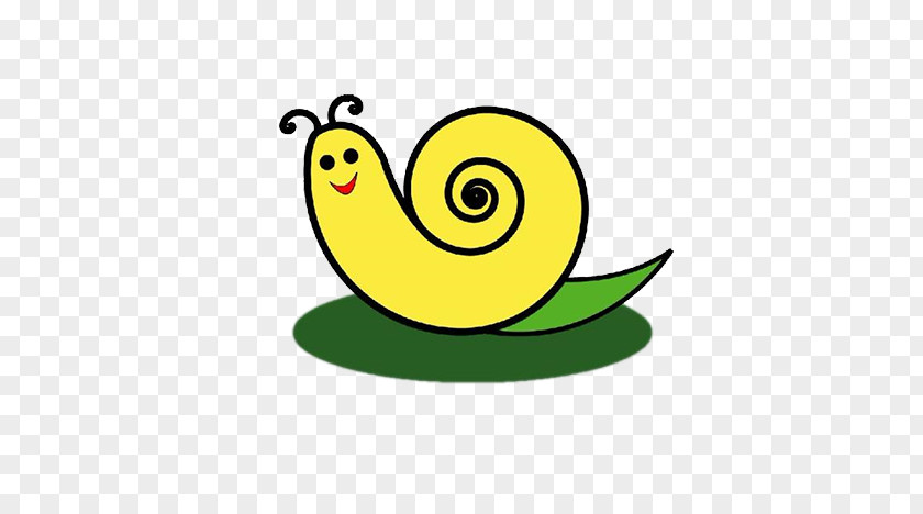 Snail On The Leaves Orthogastropoda Cartoon PNG