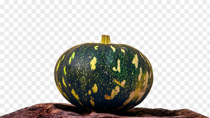 Squash Winter Gourd PNG