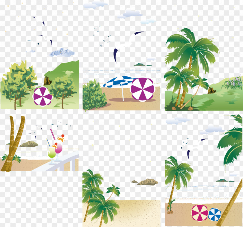 Vector Beach Praia Euclidean PNG