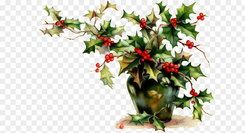 Vice Christmas Ornament Decoration Common Holly Mistletoe PNG