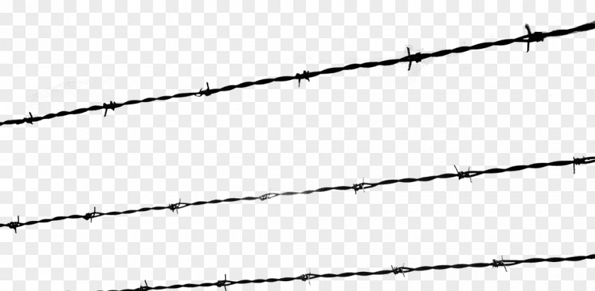 Barbwire The Holocaust Kristallnacht Barbed Wire Fence PNG
