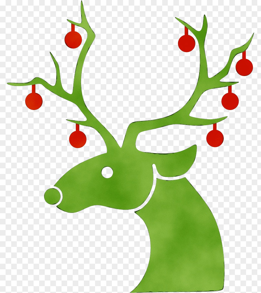 Branch Tree Holly PNG