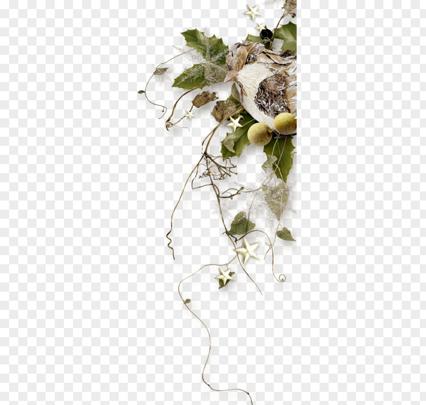 Design Floral Twig Leaf Plant Stem PNG
