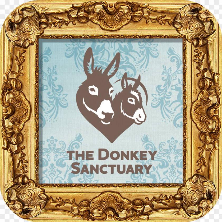 Donkey The Sanctuary Picture Frames Animal Pattern PNG