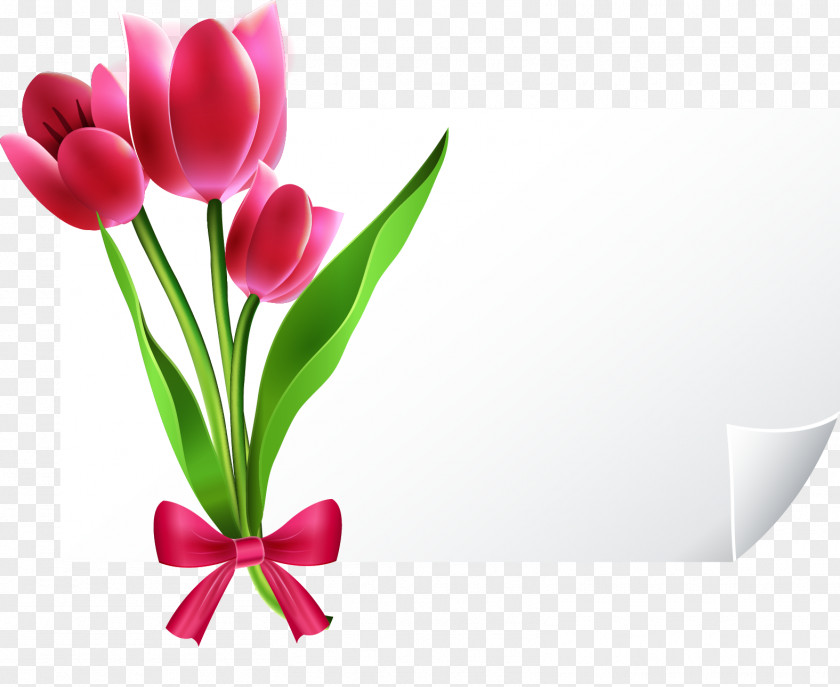 Hand-painted Tulip Vector Greeting Cards Card E-card PNG