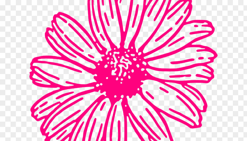 Jerusalem Artichoke Clip Art Transvaal Daisy Illustration Drawing Flower PNG