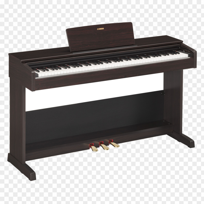 Keyboard NAMM Show Yamaha Corporation Arius YDP-103 Digital Piano PNG