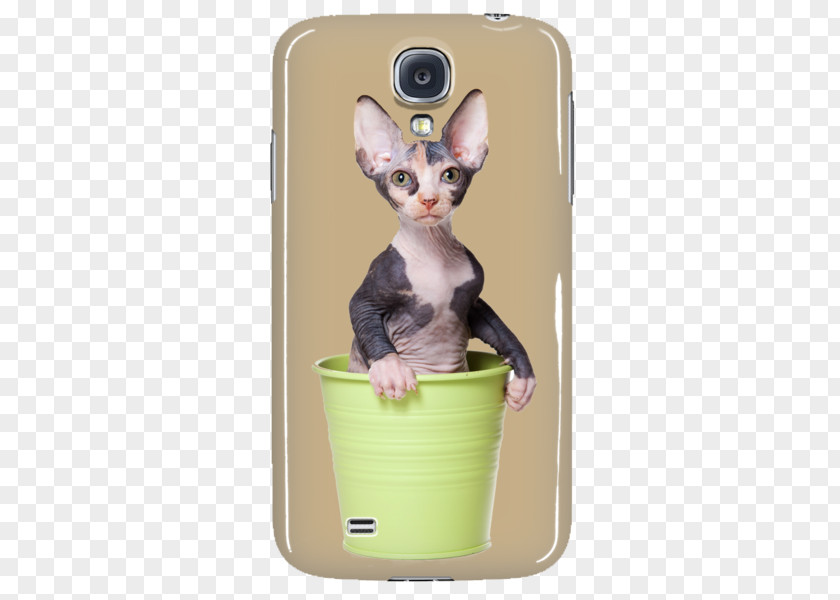 Kitten Whiskers Sphynx Cat Sock Necklace PNG