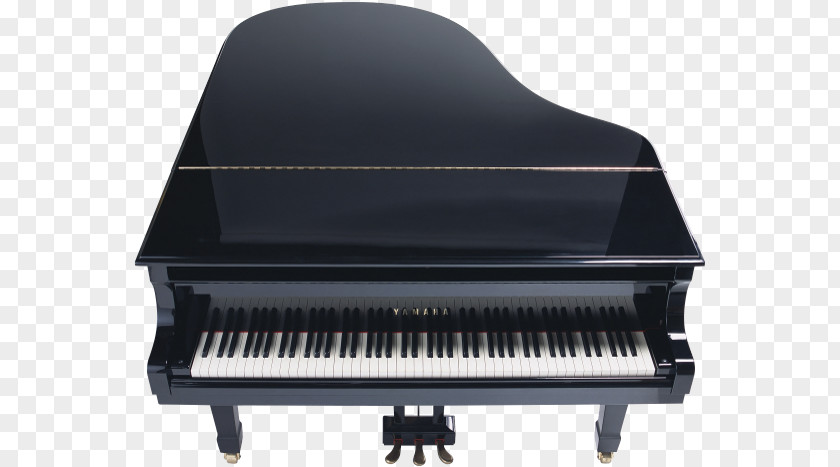 Piano Grand Key PNG