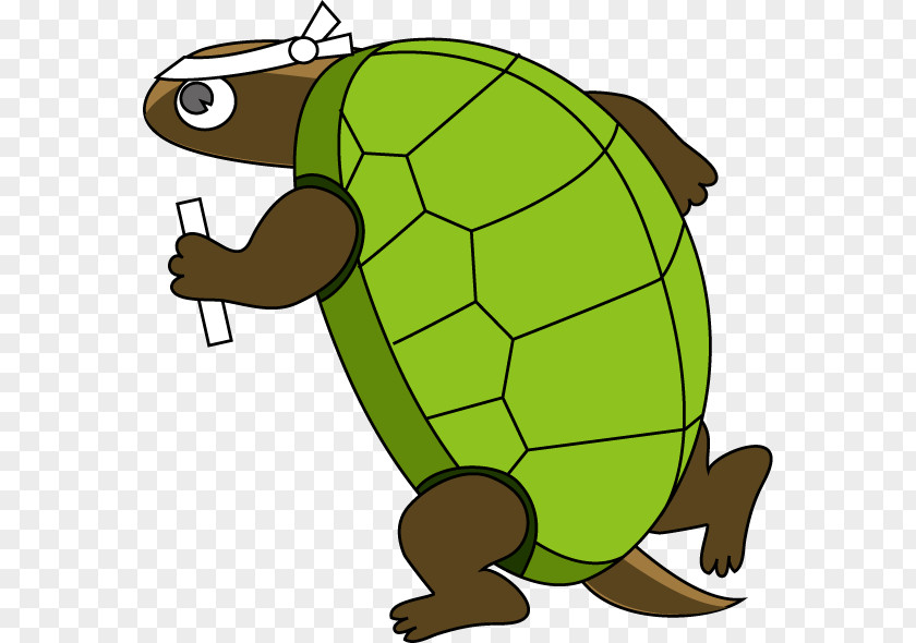 Turtle Run The Tortoise And Hare Clip Art PNG