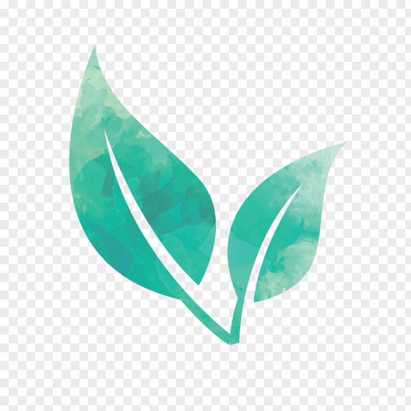 Watercolour Leaf Logo Matcha Herb PNG