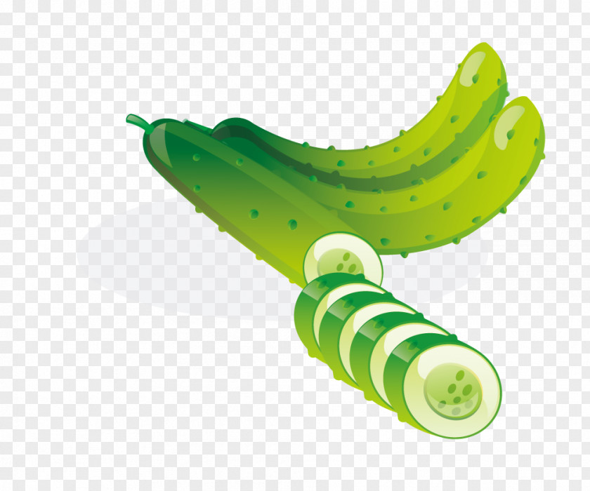 Bitter Cucumber Vegetable Food Cartoon PNG