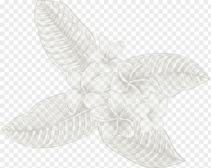 Butterfly 2M PNG