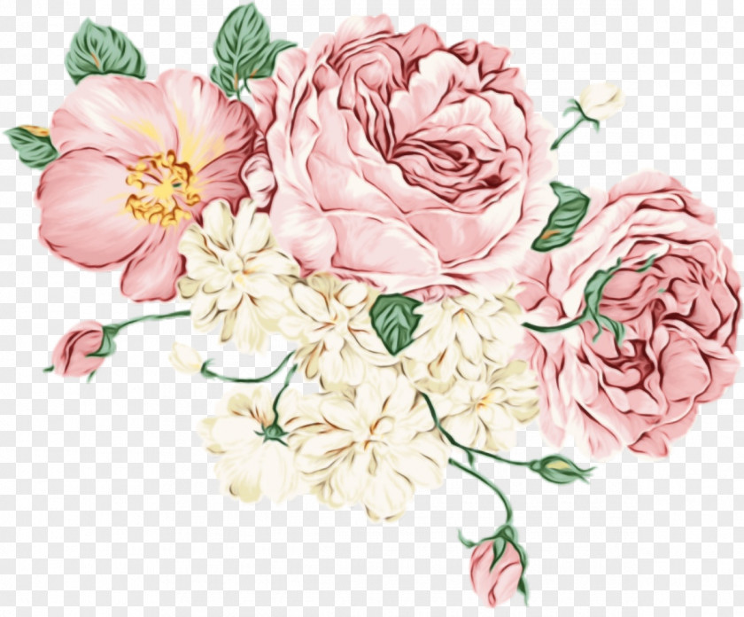 Camellia Prickly Rose Pastel Floral Background PNG