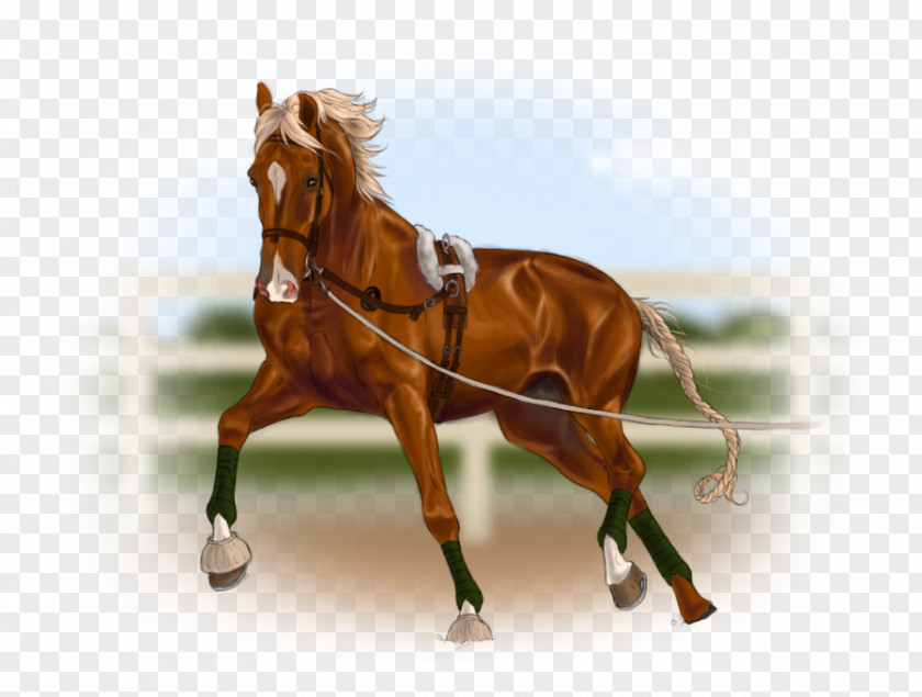 Horse Harnesses Stallion Gait Rein PNG