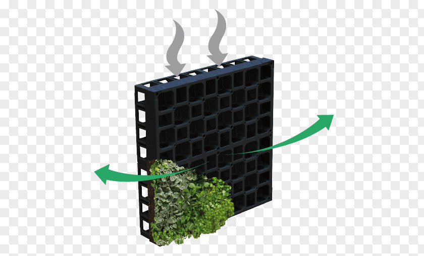 NiÃ±o Green Wall Garden System Biofilter PNG