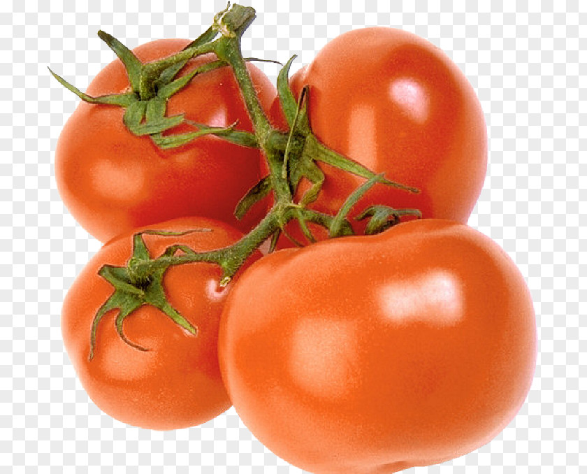 Tomato Plum Bush Food Baruipur Junction PNG