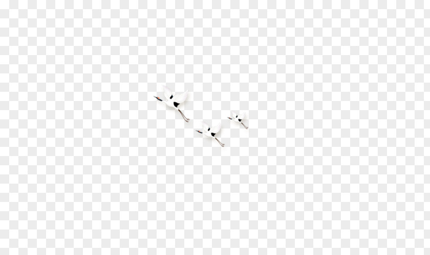 Birds Airplane Download Aircraft PNG
