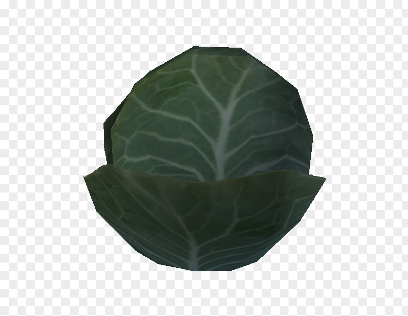 Cabbage Plastic Leaf Plant PNG