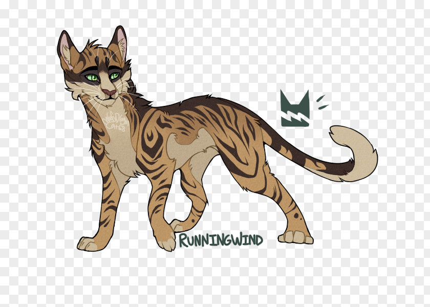 Cat Whiskers Tabby Warriors Runningwind PNG