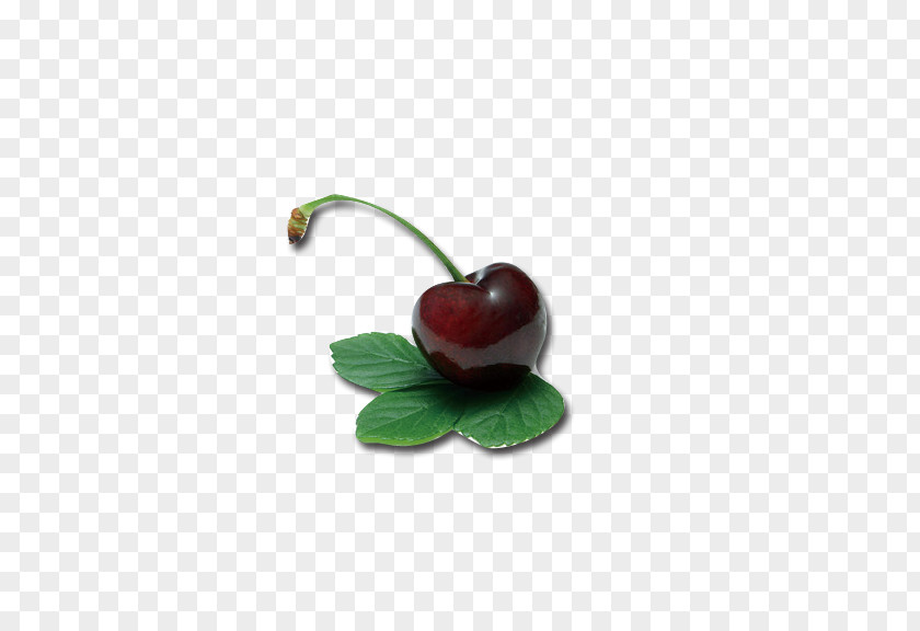 Cherry Berry Fruit Auglis PNG