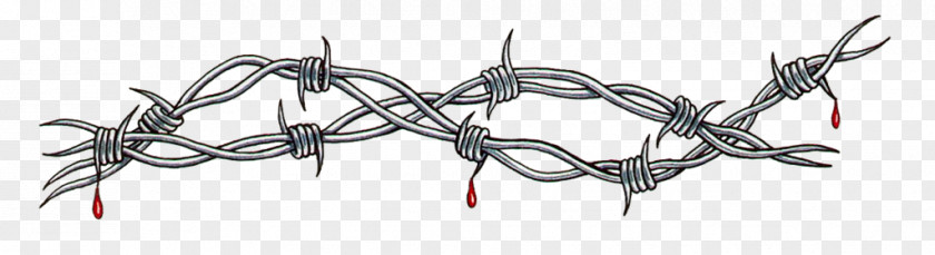 Filo Spinato Tattoo Barbed Wire Sketch PNG