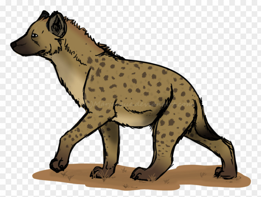 Hyena Cheetah Viverridae Cat Animal Mammal PNG