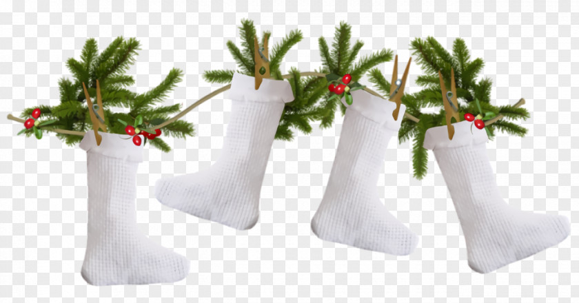 Interior Design Fir Christmas Stocking Socks PNG