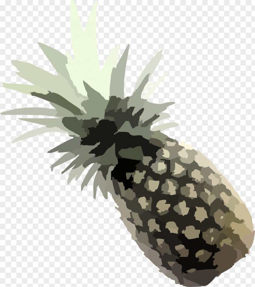 Pineapple Tropical Fruit PNG