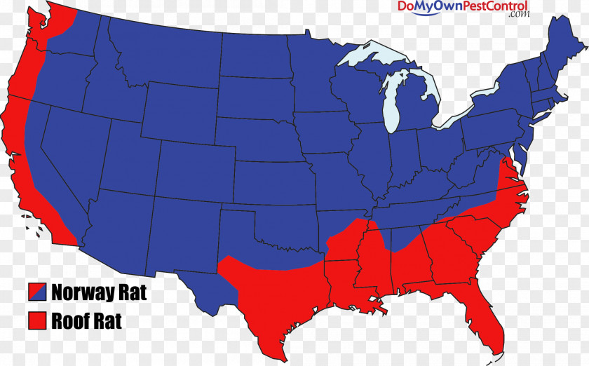 Rat & Mouse Concord Gallup Oregon Farmington Bailey PNG