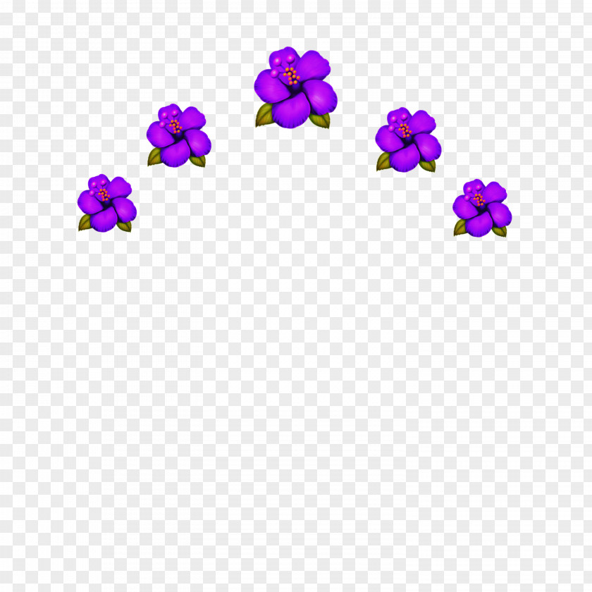 Viola Magenta Flower Collage PNG