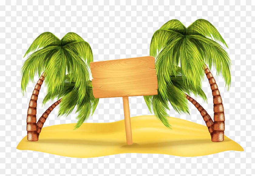 Wooden Sign And Coconut Trees Illustration Beach Arecaceae Clip Art PNG