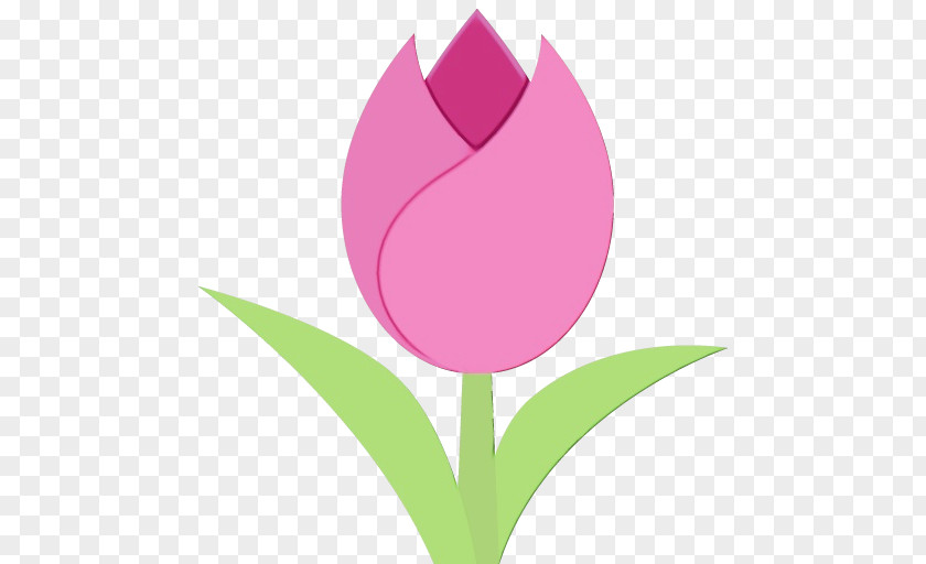 Bud Magenta Pink Flower Cartoon PNG